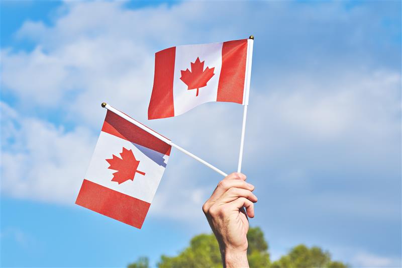 A hand raised waving two small Canadian flags with a blue sky in the background.